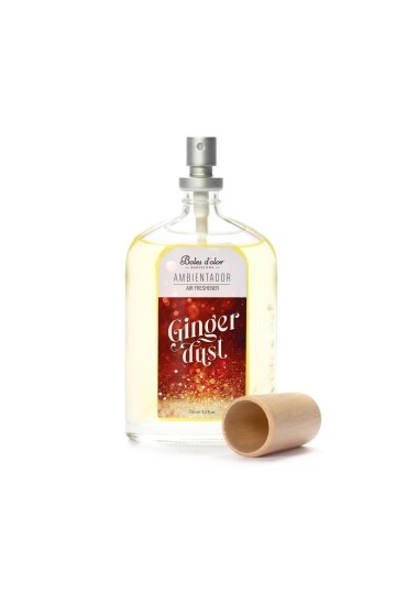 Ambientador 100 Ml Ginger Dust