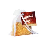 Mini Resinas Ambients Ginger Dust
