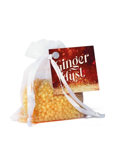 Mini Resinas Ambients Ginger Dust
