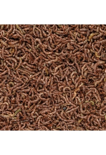 Larva Rojas 100Ml Bf023