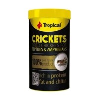 Grillos Secos-Acheta 11193
