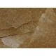 Insect Pro Flakes 34Gr