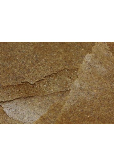 Insect Pro Flakes 34Gr