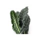 Col Kale Pack 6 Eco