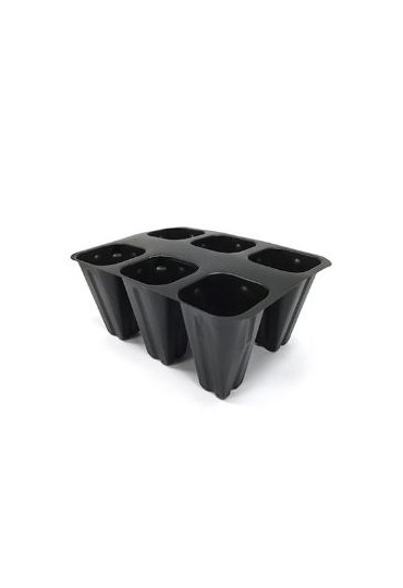 Col Kale Pack 6 Eco