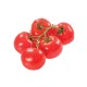 Tomate Gordo Rama M11