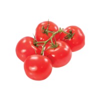 Tomate Gordo Rama M11
