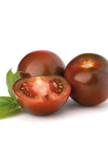 Tomate Moreno Inj. M11