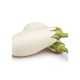 Berenjena Blanca Larga M11