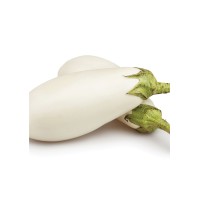 Berenjena Blanca Larga M11