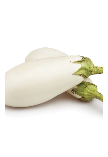 Berenjena Blanca Larga M11