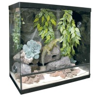 Terrario repti-selva cristal  60x31x46cm 85l