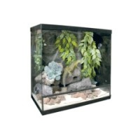 Terrario repti-selva cristal  60x31x46cm 85l-1