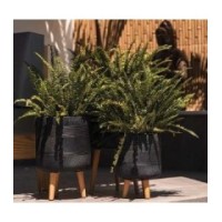 Meira negro 24.5 x 35-1