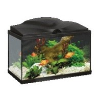 Aquario aqua 20 led negro