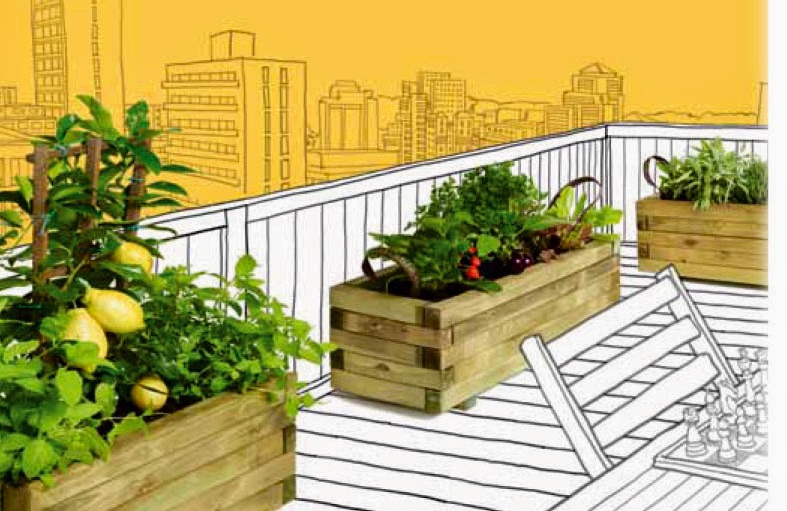 componente Faceta Juntar Monta un Mini-Huerto en jardinera ó maceta para cultivar en tu terraza,  balcón. - Mvgarden