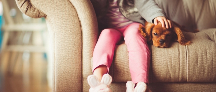 tener-una-mascota-y-cuidarla-nos-convierte-en-mejores-personas
