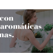 Plantas aromaticas