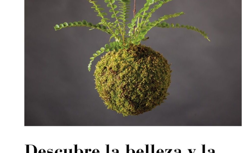 kokedama