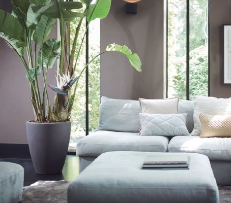 Decoracion Interior