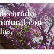 Crea un decorado fresco y natural con buganvillas. Garden Center Sopelana