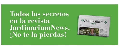 Noticias Jardinería y Plantas