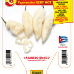 10040652pimientohabaneroblanco