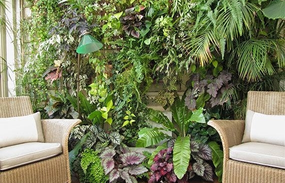 Jardín de invierno
