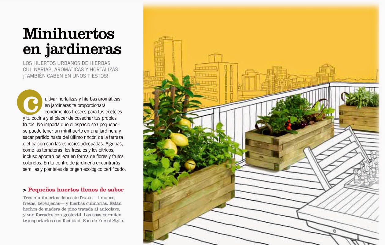 Monta un Mini-Huerto en jardinera ó maceta para cultivar en tu terraza,  balcón. - Mvgarden