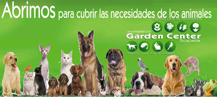 Tienda animales abierta