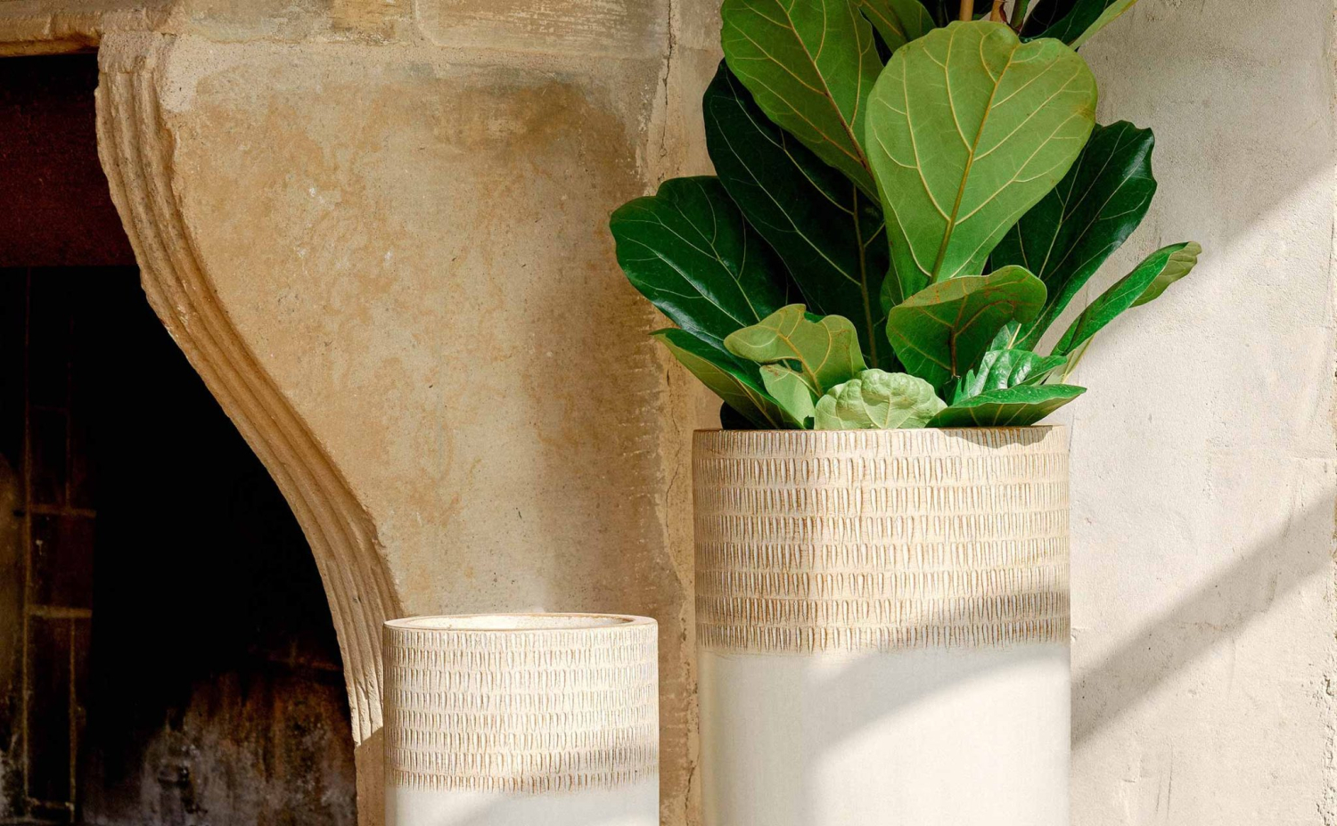 Macetas decorativas: el mejor complemento para tus plantas - Mvgarden