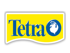 Tetra